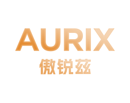 傲锐兹 AURIX