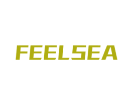FEELSEA